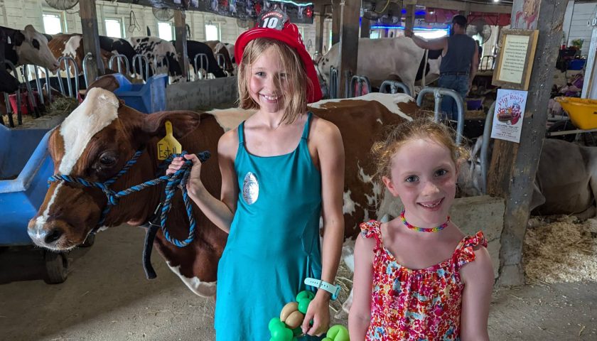 Two girls posing with a cow at the Central Wisconsin State Fair in Marshfield