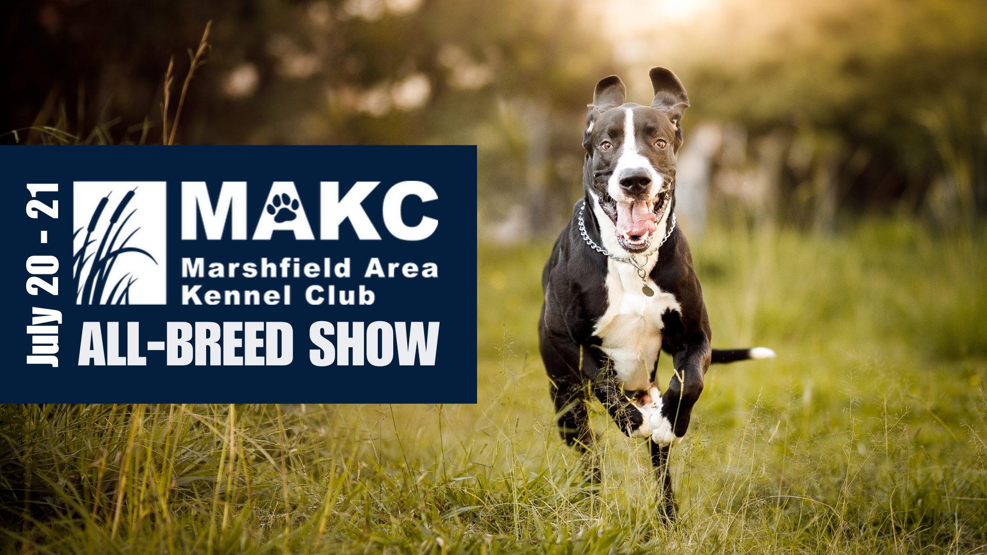 VM Website Event Banner